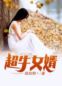 最牛女婿免费版郑玄