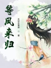 等风来免费阅读