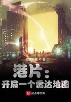 港片开局一个雷达地图 炎定终生 著