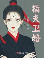 指夫卫婚 圭公子