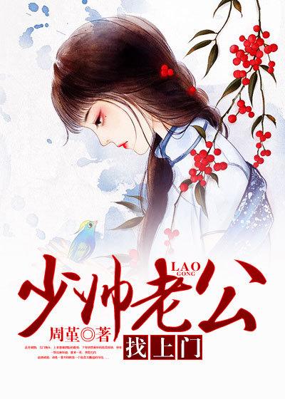 少帅老公找上门全文免费阅读全文 少帅老公找上门全文免费阅读全文