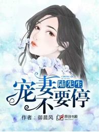 宠妻宠不停