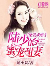 陆少蜜爱甜妻全文免费阅读