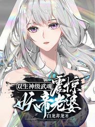 双生武魂推荐