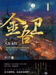 金吾卫之风起金陵漫画