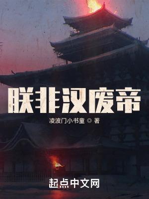 朕非汉废帝无防盗 朕非汉废帝无防盗