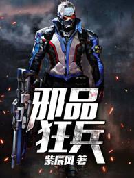 邪兵狂婿