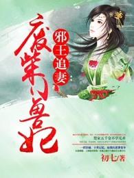 邪王追妻废材小兽女妃免费阅读