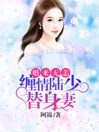 陆少的替嫁新