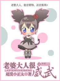 老婆大人什么意思啊 老婆大人什么意思啊