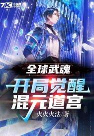 全球武魂开局觉醒混元道宫 火火火法 全球武魂开局觉醒混元道宫 火火火法