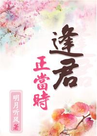 逢君正当时破军卷免费阅读