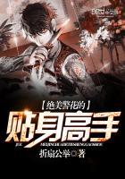 警花的贴身高手 警花的贴身高手