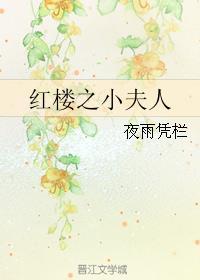 红楼之小夫人TXT电子书免费 红楼之小夫人TXT电子书免费