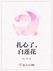 白莲花经典语录