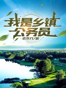 乡镇公务员是省考还是国考