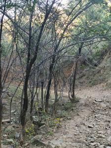 万届仙踪动漫 万届仙踪动漫