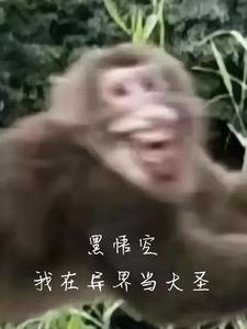 黑悟空我在异界当大圣免费阅读 黑悟空我在异界当大圣免费阅读