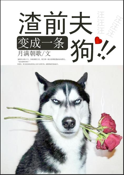 渣了前夫后我一无所有 渣了前夫后我一无所有