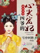 锦绣清宫四爷的心尖宠妃epub 锦绣清宫四爷的心尖宠妃epub