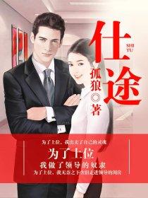 仕途经济 仕途经济