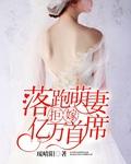 误惹高冷总裁 误惹高冷总裁