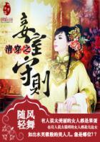清穿之妾本