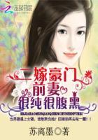 二嫁豪门总裁前夫别碰我