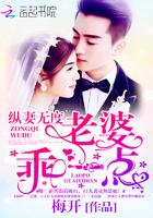老婆乖乖的免费阅读