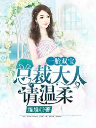 一胎双宝总裁大人夜夜欢3306
