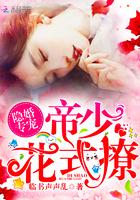 隐婚小甜妻帝少放肆宠免费阅读全文