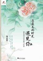 在最美的时光里遇见了你是什么歌