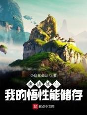 我的悟性能储存 我的悟性能储存