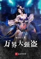 万界大强盗系统