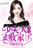 少夫人今天又败家了txt百度资源