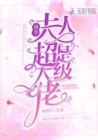 夫人她道行不浅