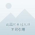 女教授 裴