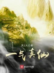 一气真仙陆沉最新章节列表