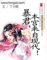 乱世山贼