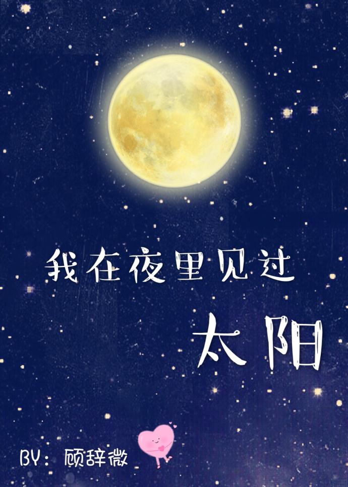 我在夜里见过太阳 我在夜里见过太阳
